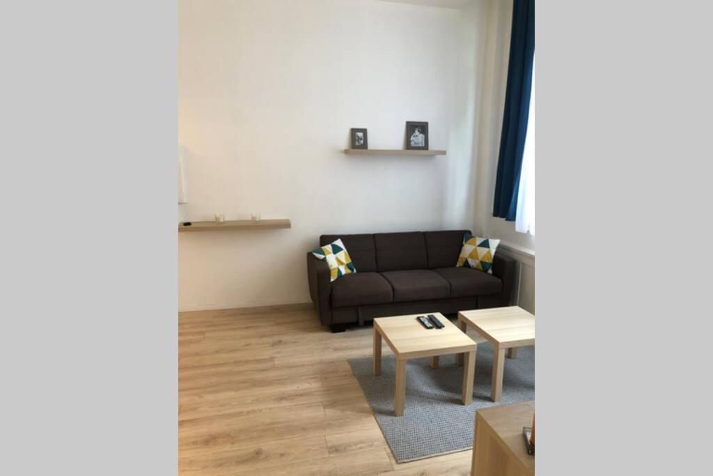 Joli 2 Pieces En Centre Ville , Gare A 50 Metres Grenoble Ngoại thất bức ảnh
